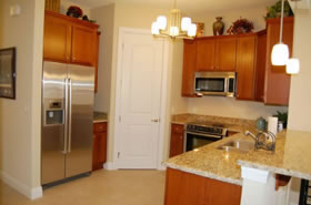 Gainesville Palms Image #gainesville-palms-1