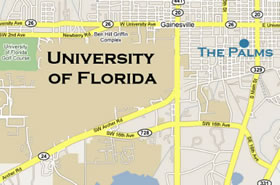 Gainesville Palms Image #gainesville-palms-10