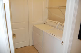 Gainesville Palms Image #gainesville-palms-11