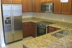 Gainesville Palms Image #gainesville-palms-12