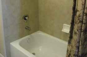 Gainesville Palms Image #gainesville-palms-14