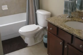 Gainesville Palms Image #gainesville-palms-15