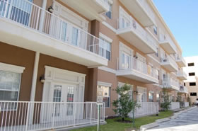 Gainesville Palms Image #gainesville-palms-2