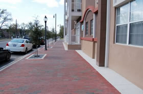 Gainesville Palms Image #gainesville-palms-5