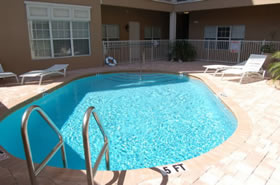 Gainesville Palms Image #gainesville-palms-6