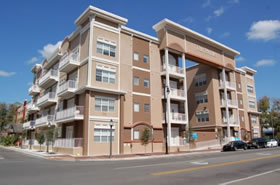 Gainesville Palms Image #gainesville-palms-7