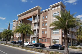 Gainesville Palms Image #gainesville-palms-8