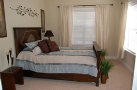 Gainesville Palms Image #gainesville-palms-9